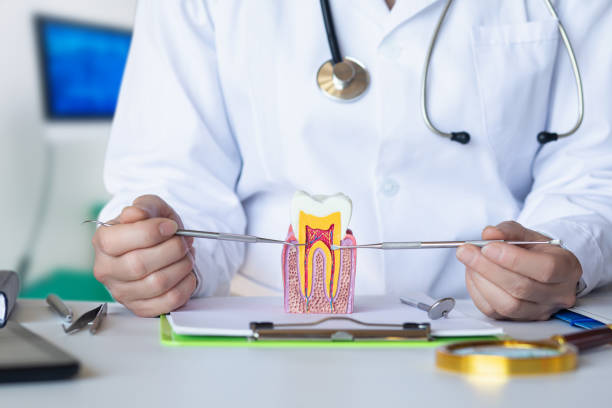 Best Emergency Dentist for Lost Fillings or Crowns in Front Royal, VA